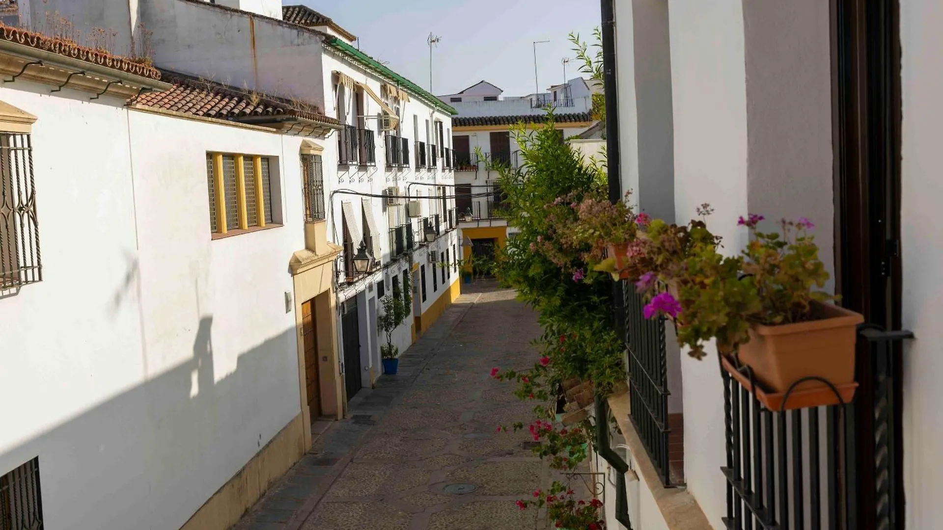 Mira San Basilio Apartment Cordoba